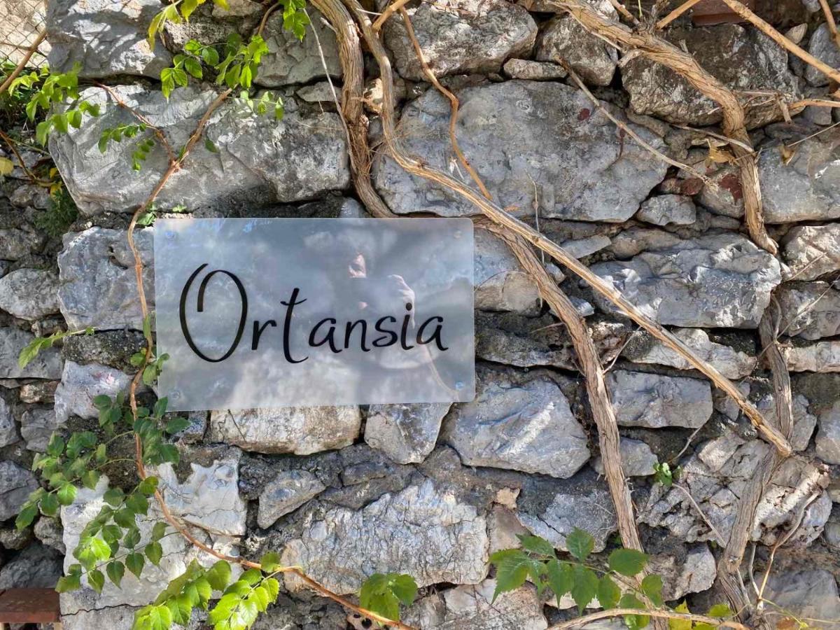 Ortansia Lägenhet Dimitsana Exteriör bild
